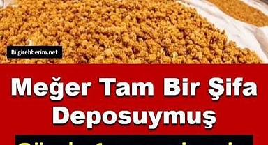 Meğer Tam Bir Şifa Deposuymuş