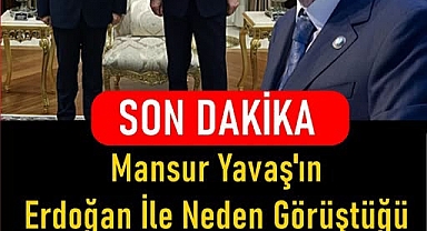 Erdoğan ve Mansur Yavaş'ın Görüşmesinin Nedeni