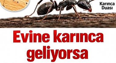 Karınca Eve Neden Gelir