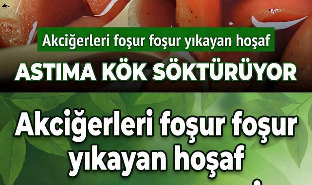 Astıma Kök Söktürüyor