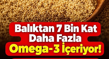 Balıktan kat kat daha fazla Omega