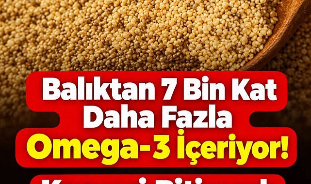 Balıktan kat kat daha fazla Omega